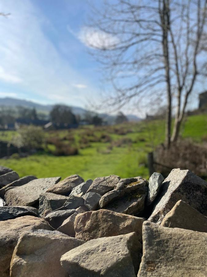 Trawsfynydd Stone Cottage Esterno foto