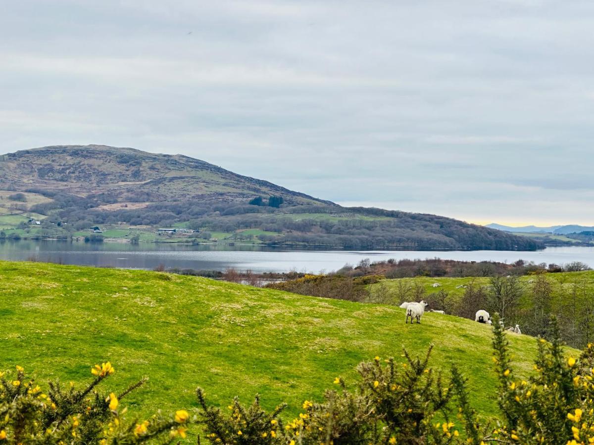 Trawsfynydd Stone Cottage Esterno foto